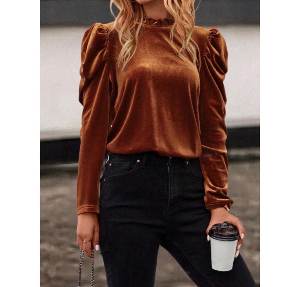 Velvet Leg-of-Mutton Sleeve Top